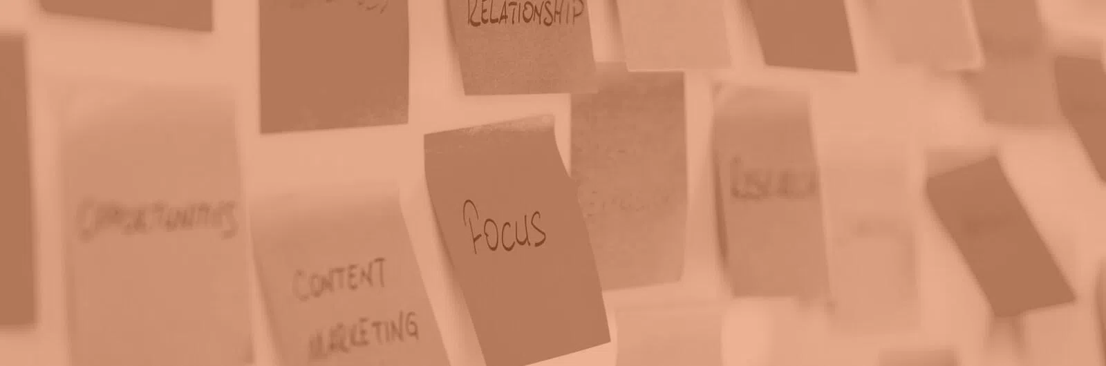 Header image - stickies - focus